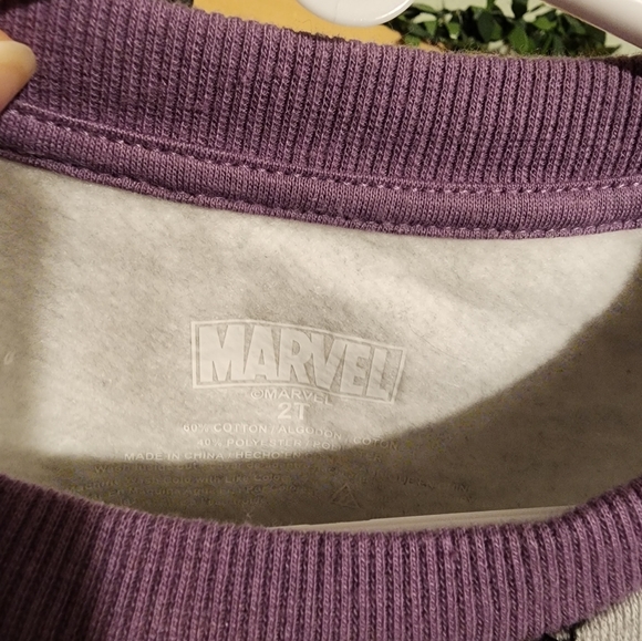 NWT Boys Marvel Wakanda Forever Sweatshirt. Size 2T. Gray - Picture 2 of 4
